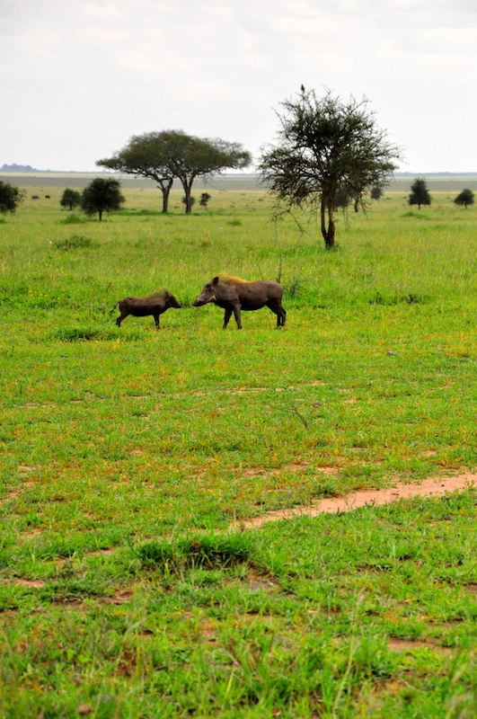 Melanie Heinrich Travel Images Africa